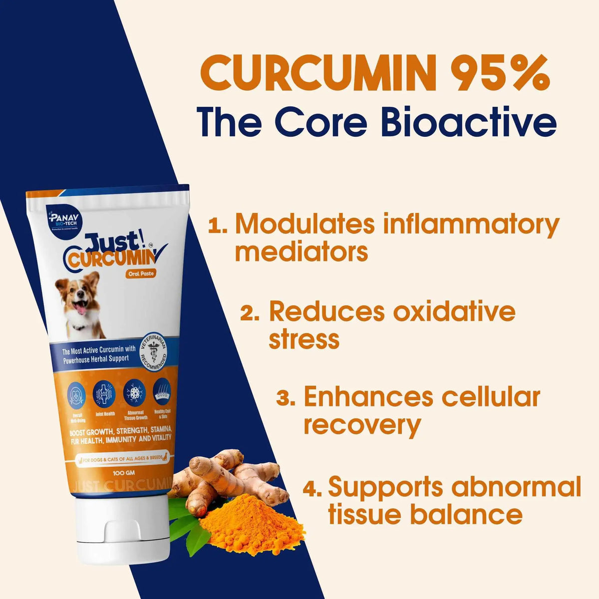 JUST CURCUMIN™ Oral Paste for Dogs & Cats | Curcumin Anti-Inflammatory & Joint Support