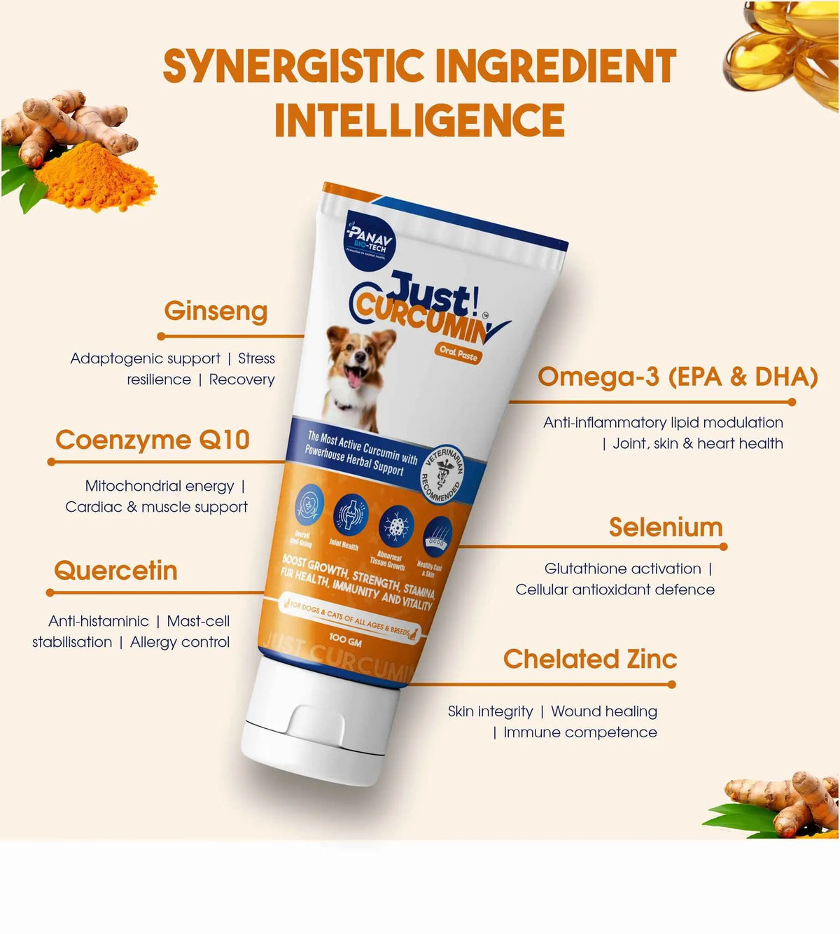 JUST CURCUMIN™ Oral Paste for Dogs & Cats | Curcumin Anti-Inflammatory & Joint Support