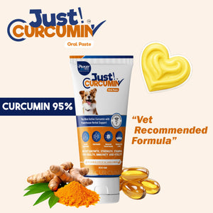 JUST CURCUMIN™ High-Purity Curcumin Oral Paste for Dogs & Cats | Advanced Anti-Inflammatory & Joint Support