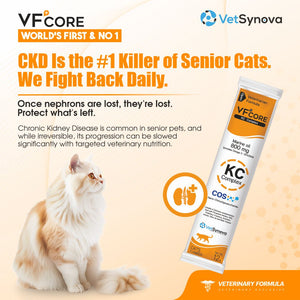 VFCore KC — Kidney Care Complex for Cats | CKD Support, Proteinuria & UTI Prevention | Nano-COS + Marine Oil 800mg + Cranberry + SOD | 12g Sachet