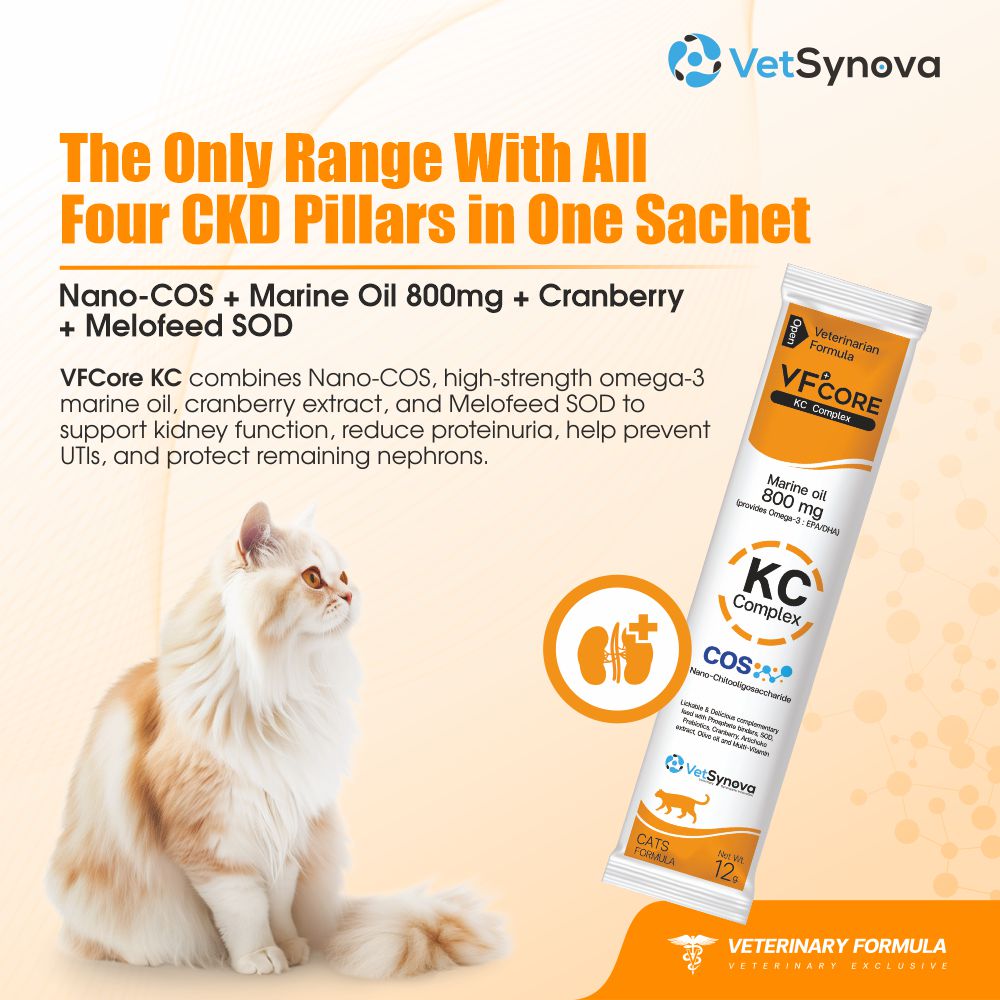 VFCore KC — Kidney Care Complex for Cats | CKD Support, Proteinuria & UTI Prevention | Nano-COS + Marine Oil 800mg + Cranberry + SOD | 12g Sachet