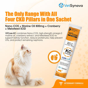VFCore KC — Kidney Care Complex for Cats | CKD Support, Proteinuria & UTI Prevention | Nano-COS + Marine Oil 800mg + Cranberry + SOD | 12g Sachet