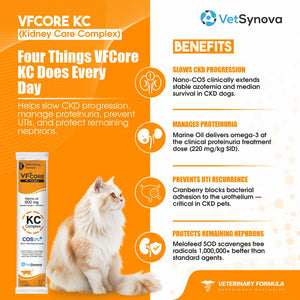 VFCore KC — Kidney Care Complex for Cats | CKD Support, Proteinuria & UTI Prevention | Nano-COS + Marine Oil 800mg + Cranberry + SOD | 12g Sachet