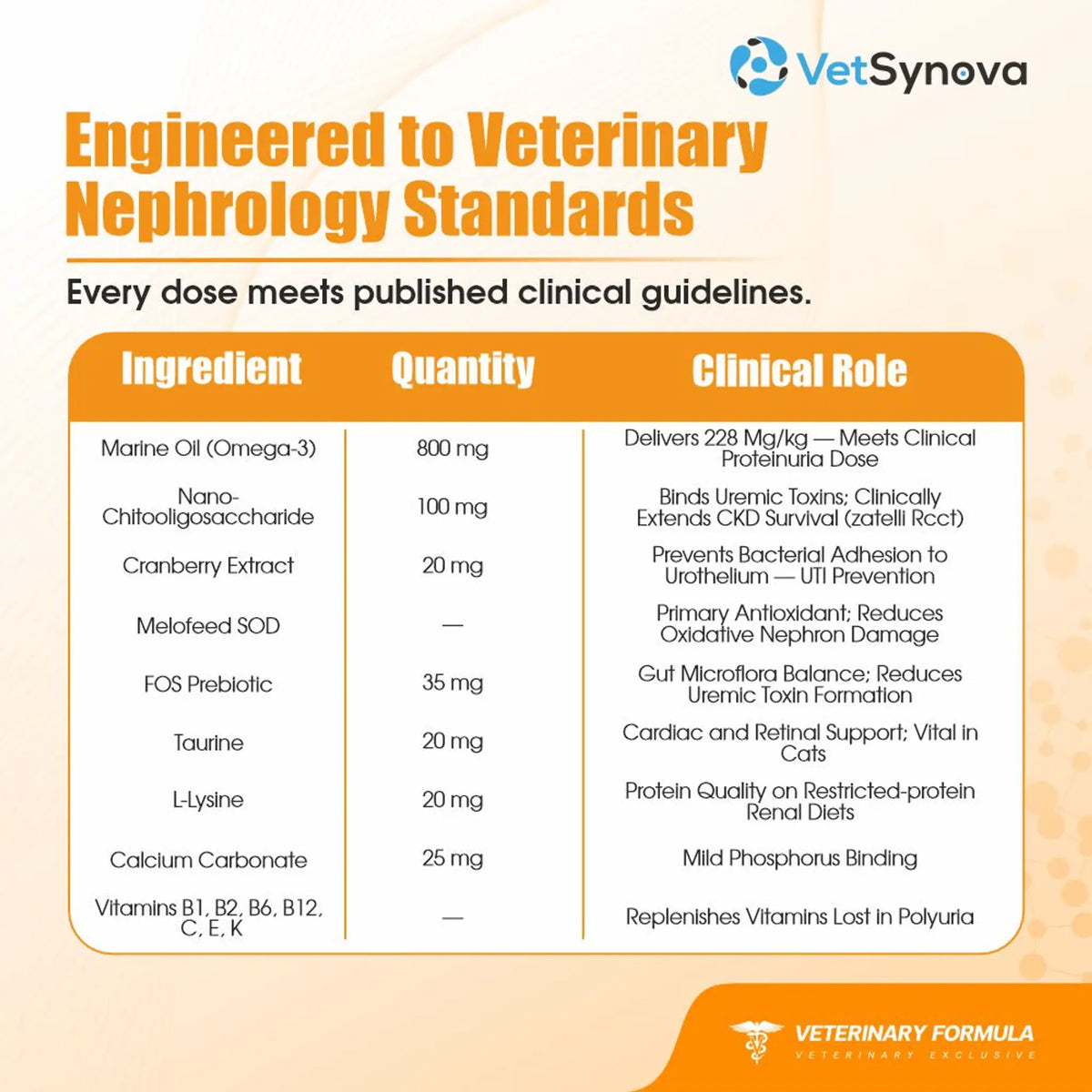 VFCore KC Kidney Care Complex for Cats | Kidney & Renal Health Support