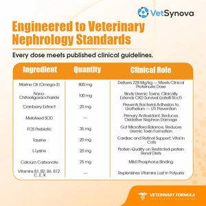 VFCore KC Kidney Care Complex for Cats | Kidney & Renal Health Support
