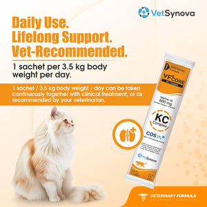 VFCore KC — Kidney Care Complex for Cats | CKD Support, Proteinuria & UTI Prevention | Nano-COS + Marine Oil 800mg + Cranberry + SOD | 12g Sachet