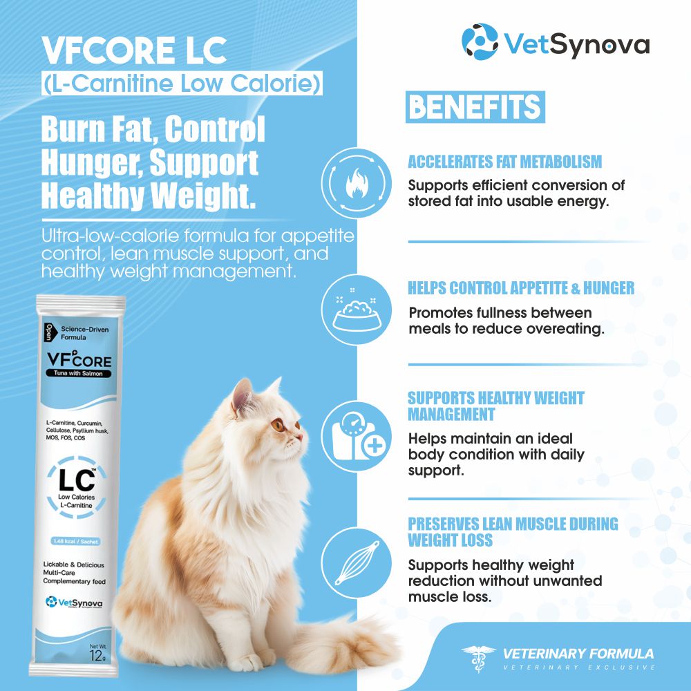 VFCore LC — L-Carnitine Weight Management for Cats | 12g Lickable Sachet
