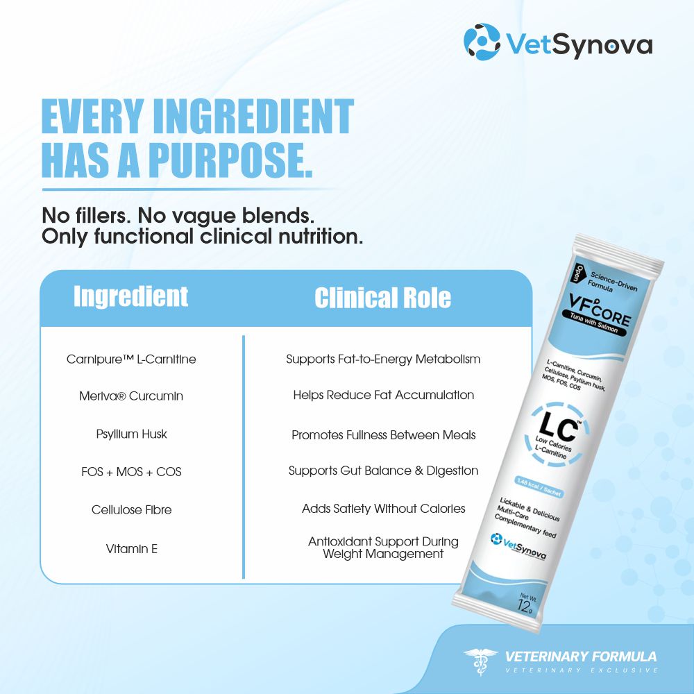 VFCore LC — L-Carnitine Weight Management for Cats | 12g Lickable Sachet