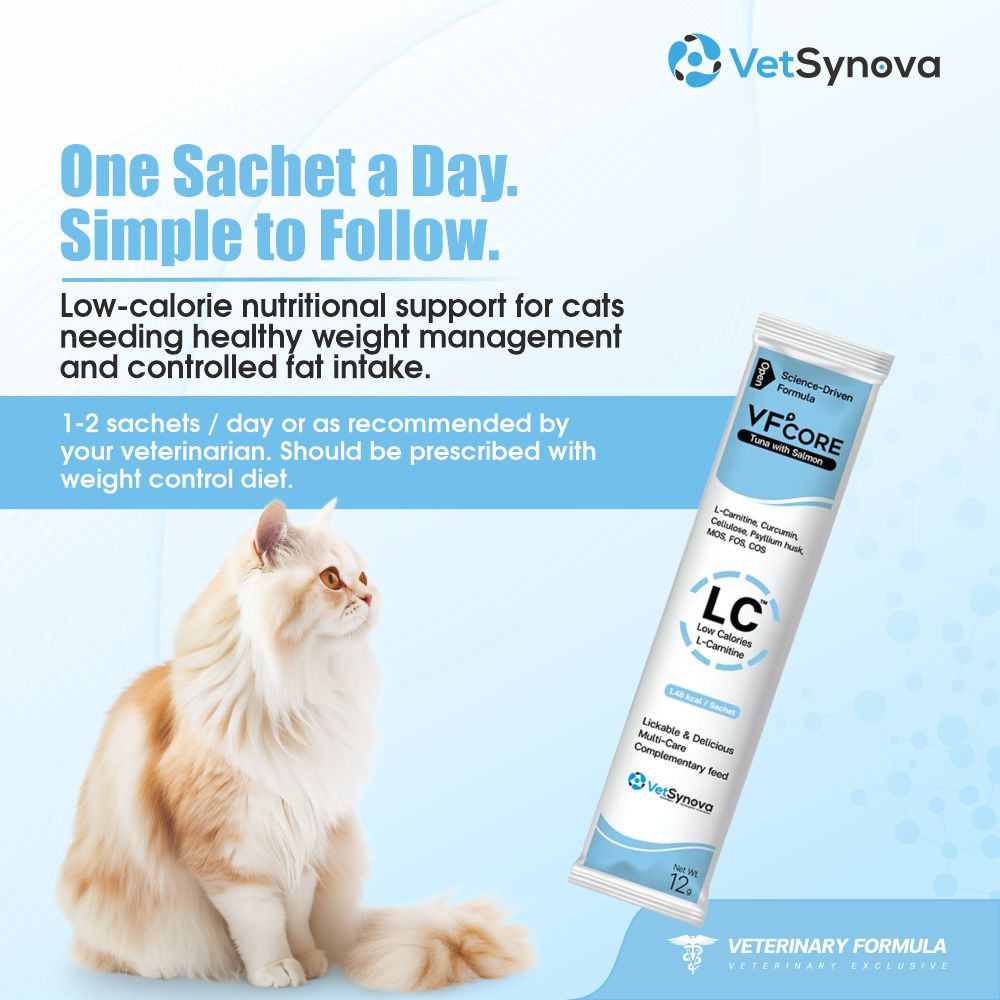 VFCore LC — L-Carnitine Weight Management for Cats | 12g Lickable Sachet