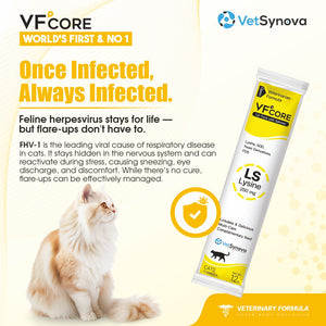 VFCore LS — L-Lysine 250mg Supplement for Cats | Feline Herpesvirus (FHV-1) Management, Sneezing & Eye Discharge Support Supplement For Cats | Lickable Paste 12g Sachet