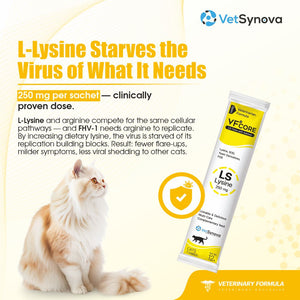 VFCore LS — L-Lysine 250mg Supplement for Cats | Feline Herpesvirus (FHV-1) Management, Sneezing & Eye Discharge Support Supplement For Cats | Lickable Paste 12g Sachet