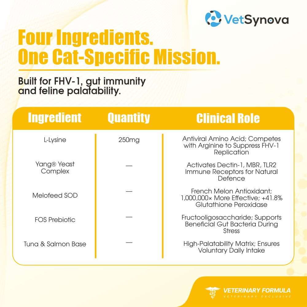 VFCore LS — L-Lysine 250mg Supplement for Cats | Feline Herpesvirus (FHV-1) Management, Sneezing & Eye Discharge Support Supplement For Cats | Lickable Paste 12g Sachet
