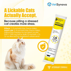 VFCore LS — L-Lysine 250mg Supplement for Cats | Feline Herpesvirus (FHV-1) Management, Sneezing & Eye Discharge Support Supplement For Cats | Lickable Paste 12g Sachet