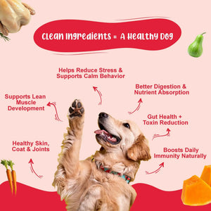 Large Dog Food For Performance Monthly Pack - 100% Natural & Zero Preservatives | Pack of 30