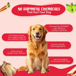 Large Dog Food For Performance Monthly Pack (Chicken Pumpkin & Veggies | Super Feast+ | K9 Immune Broth | K9 Joint Care Broth) 12+12+3+3 (15-30 Kg Dog)