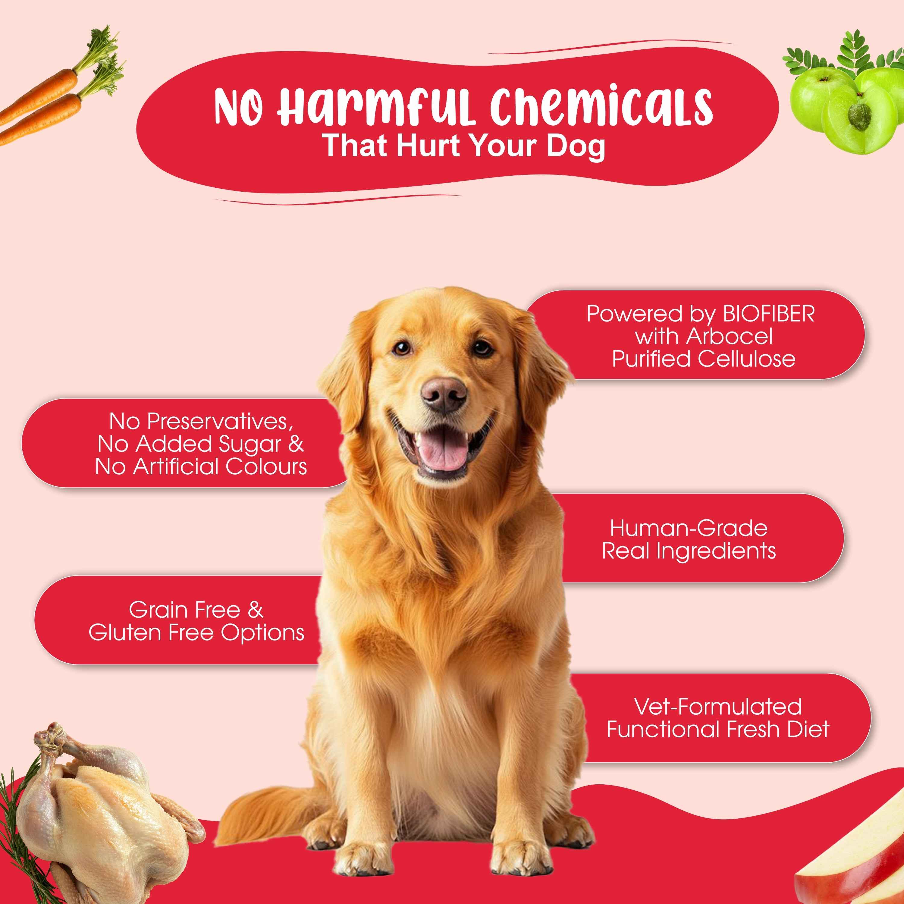 Large Dog Food For Performance Monthly Pack (Chicken Pumpkin & Veggies | Super Feast+ | K9 Immune Broth | K9 Joint Care Broth) 12+12+3+3 (15-30 Kg Dog)
