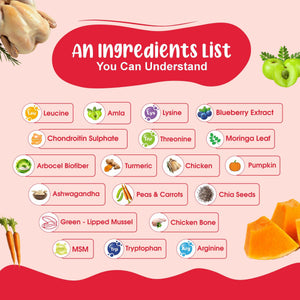 Large Dog Food For Performance Monthly Pack (Chicken Pumpkin & Veggies | Super Feast+ | K9 Immune Broth | K9 Joint Care Broth) 12+12+3+3 (15-30 Kg Dog)