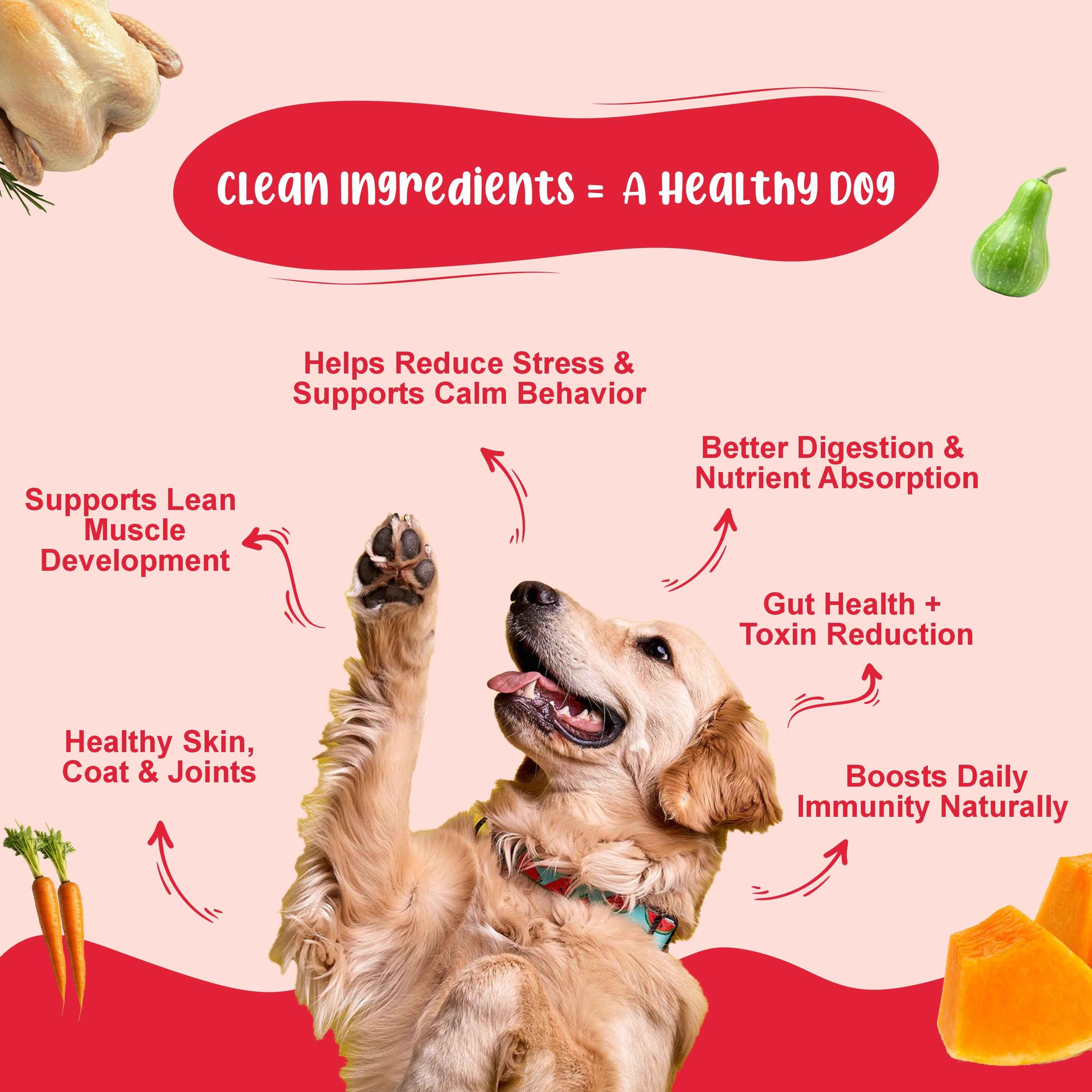 Large Dog Food For Performance Monthly Pack (Chicken Pumpkin & Veggies | Super Feast+ | K9 Immune Broth | K9 Joint Care Broth) 12+12+3+3 (15-30 Kg Dog)