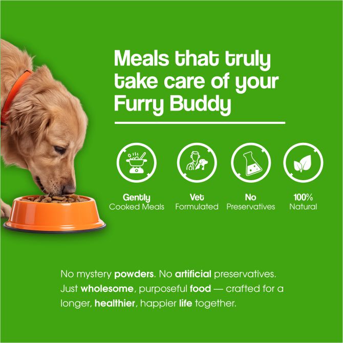 Lean Care+ Weight Control Therapeutic Lean Care Fresh Dog Food
