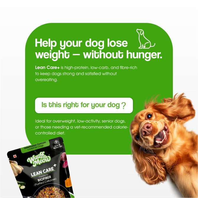 Lean Care+ Weight Control Therapeutic Lean Care Fresh Dog Food