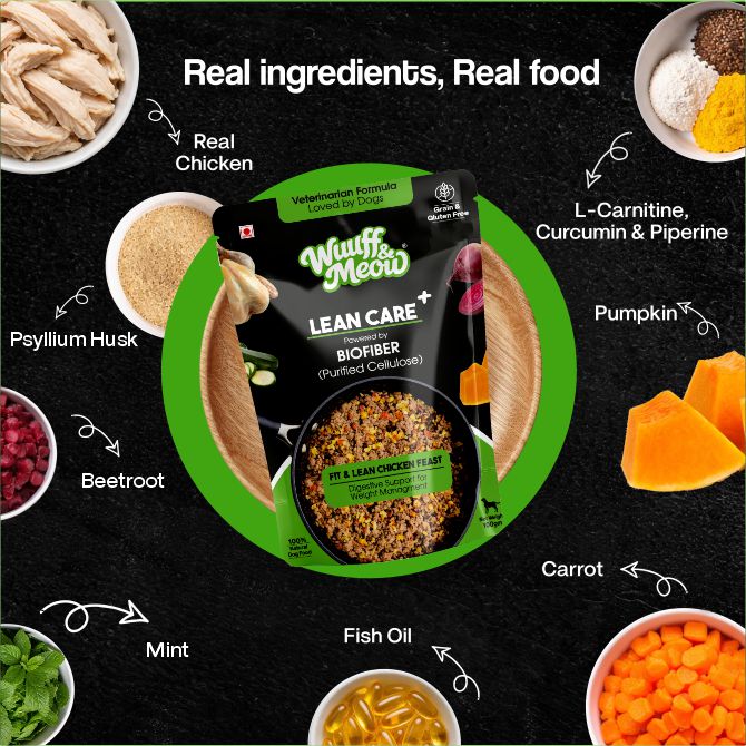 Lean Care+ Weight Control Therapeutic Lean Care Fresh Dog Food