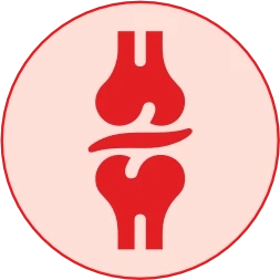Long-Term Cartilage Protection & Restores Joint Fluid