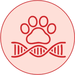 Maximum Collagen Bioavailability Extraction