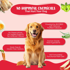 Medium Dog Food Standard Monthly Pack (Chicken Rice & Veggies | Gut Guard+ | K9 Immune Bone Broth) 10+10+3 (10-15 Kg Dog)