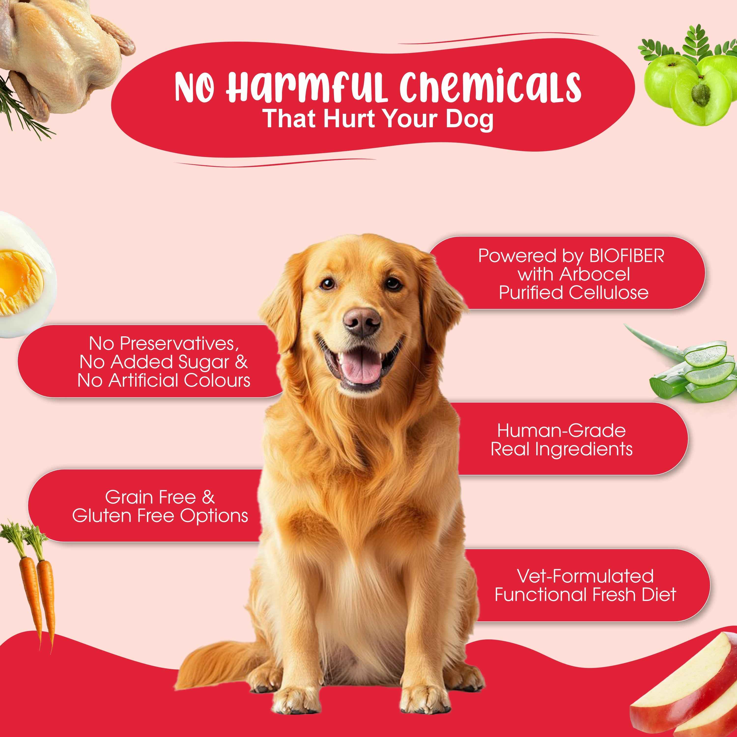 Medium Dog Food Standard Monthly Pack (Chicken Rice & Veggies | Gut Guard+ | K9 Immune Bone Broth) 10+10+3 (10-15 Kg Dog)