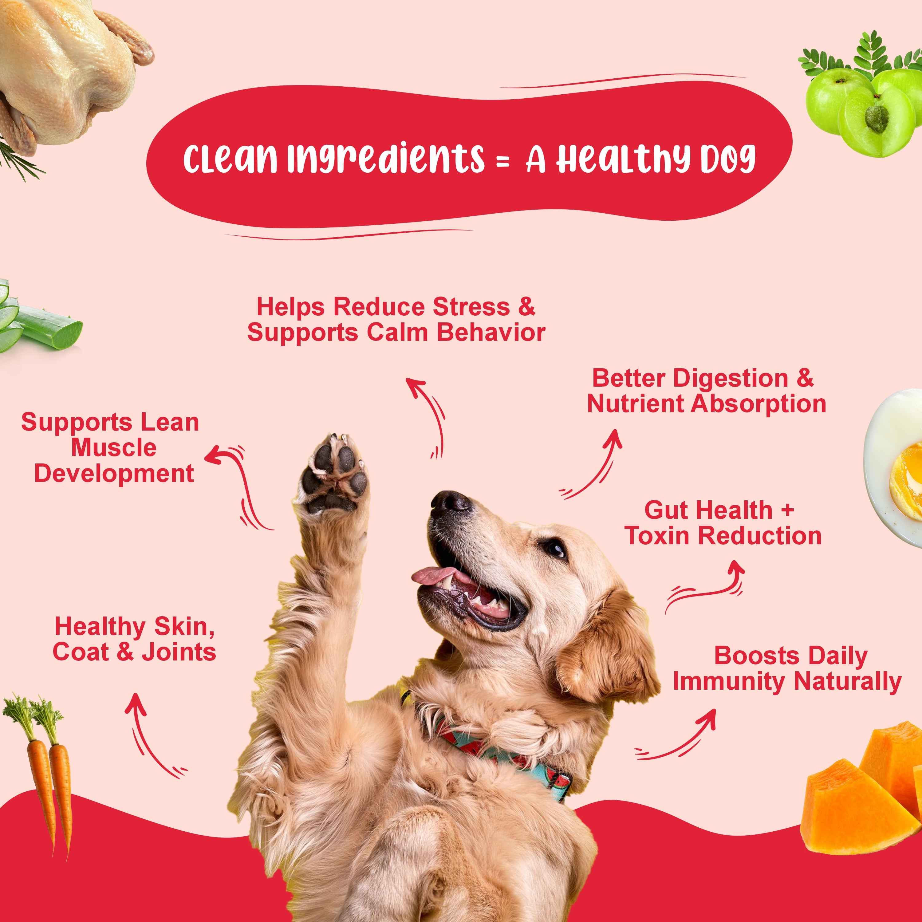 Medium Dog Food Standard Monthly Pack (Chicken Rice & Veggies | Gut Guard+ | K9 Immune Bone Broth) 10+10+3 (10-15 Kg Dog)