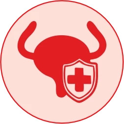 Nervous System Support & Antioxidant Bladder Protection