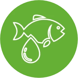 Omega 3 & 6 - Anti-inflammatory