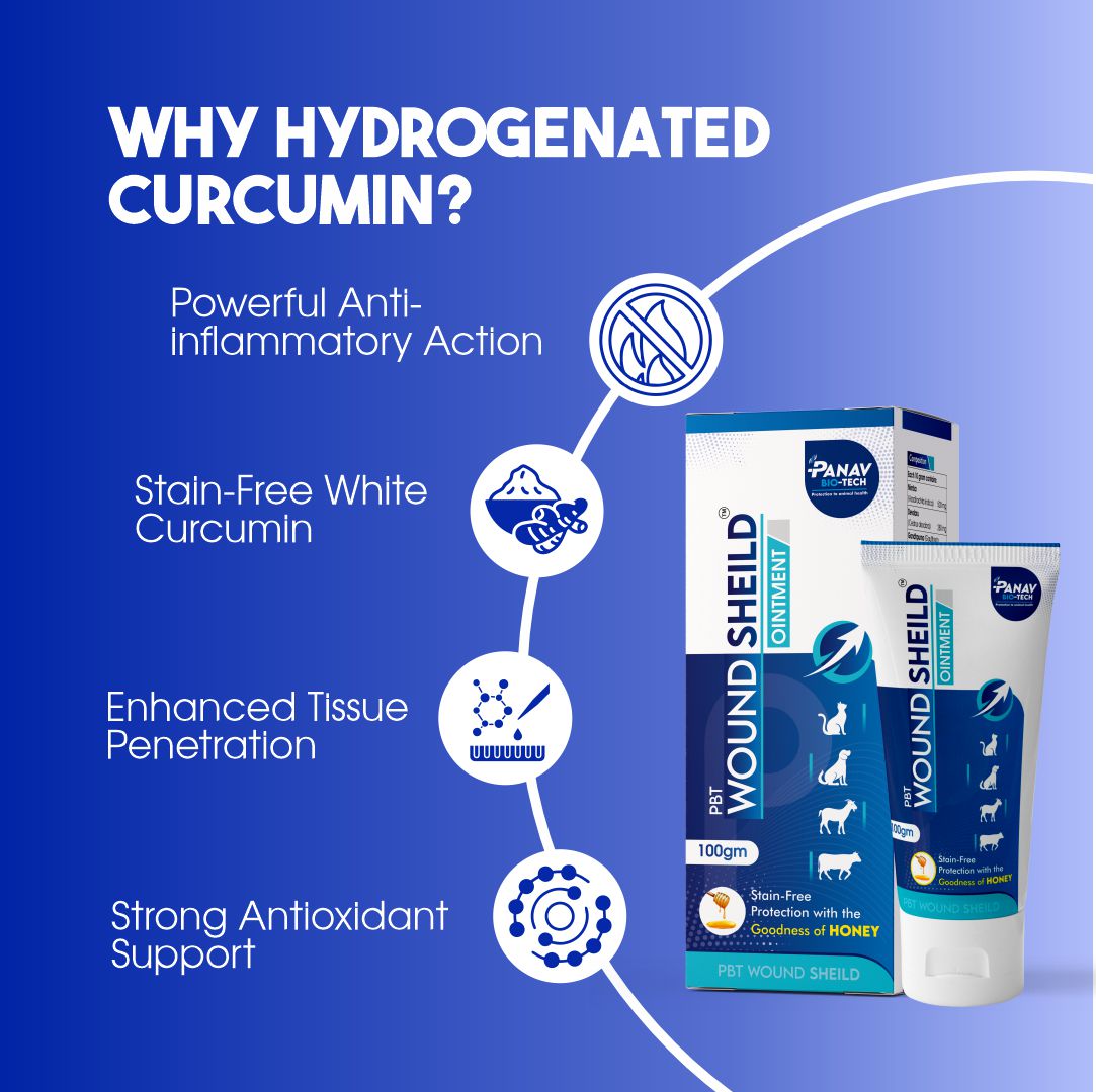 PBT Wound Shield Ointment with Hydrogenated Curcumin – Antimicrobial & Anti-Inflammatory
