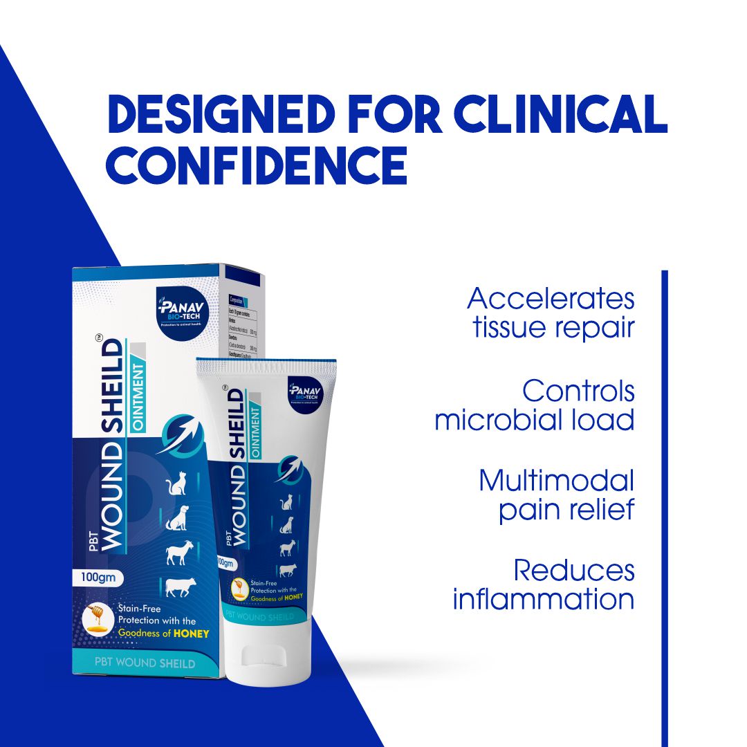 PBT Wound Shield Ointment with Hydrogenated Curcumin – Antimicrobial & Anti-Inflammatory