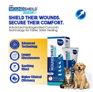 PBT Wound Shield Ointment with Hydrogenated Curcumin – Antimicrobial & Anti-Inflammatory