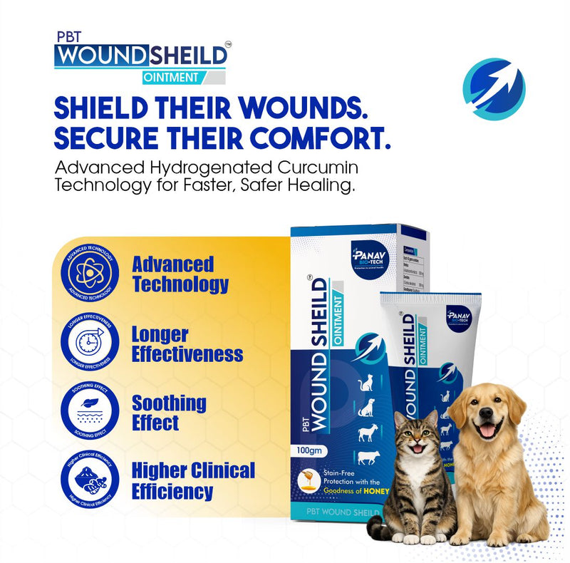 PBT Wound Shield Ointment with Hydrogenated Curcumin – Antimicrobial & Anti-Inflammatory