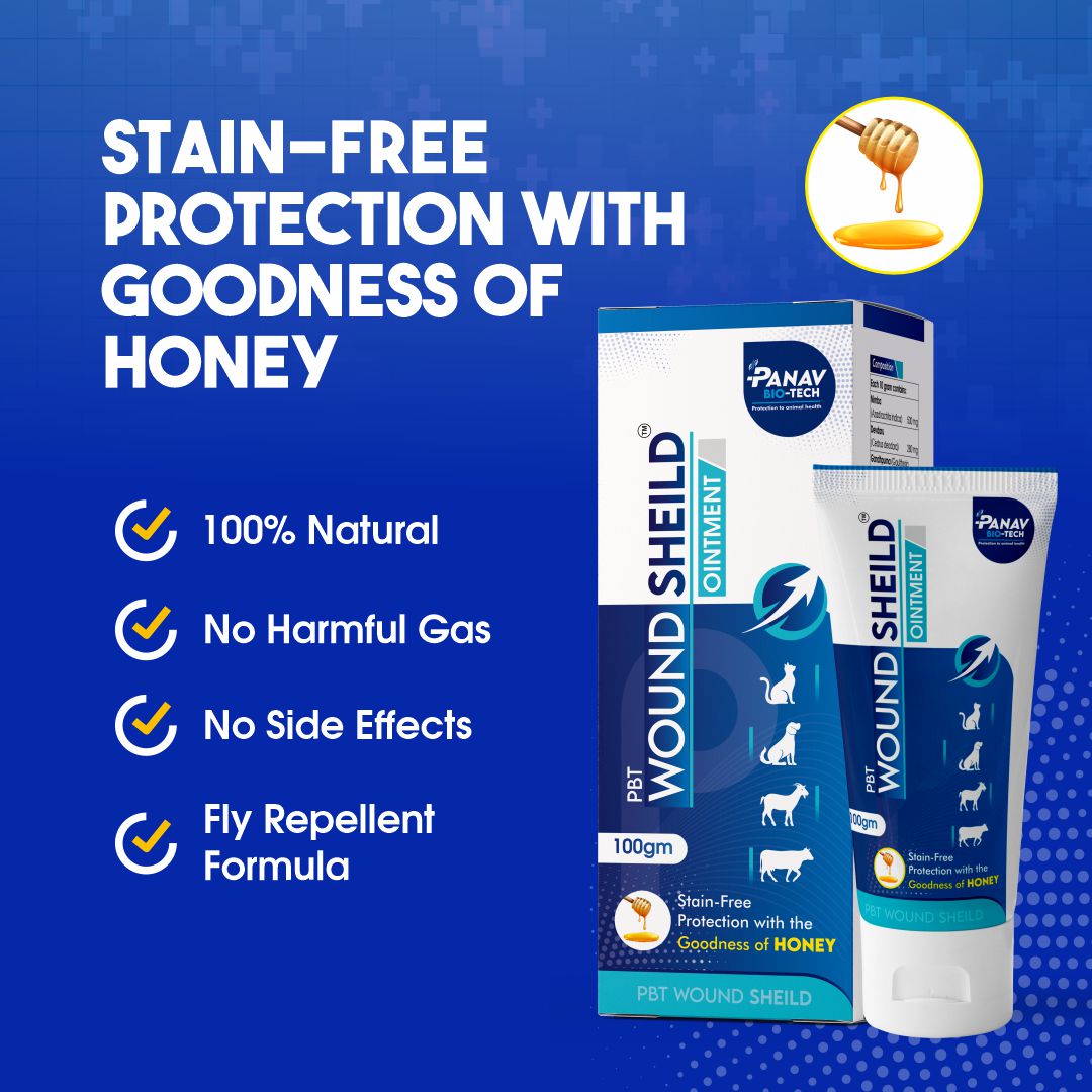 PBT Wound Shield Ointment with Hydrogenated Curcumin – Antimicrobial & Anti-Inflammatory