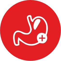 Prebiotic Gut Support (FOS & MOS — Healthy Gut Microbiome)