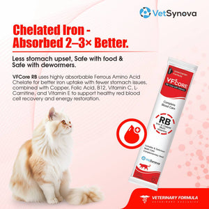 VFCore RB — Blood Care Complex for Cats | Iron + B-Complex | 12g Lickable Sachet