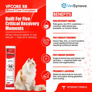 VFCore RB — Blood Care Complex for Cats | Iron + B-Complex | 12g Lickable Sachet