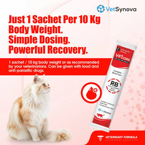 VFCore RB — Blood Care Complex for Cats | Iron + B-Complex | 12g Lickable Sachet