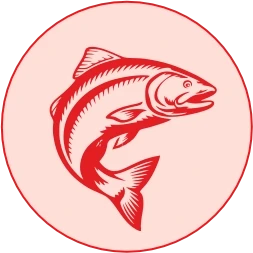 Real Salmon EPA & DHA — Superior Bioavailable Marine Omega-3