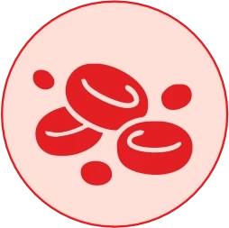 Red Blood Cell Recovery