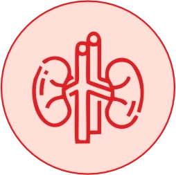 Reduces BUN & Creatinine 