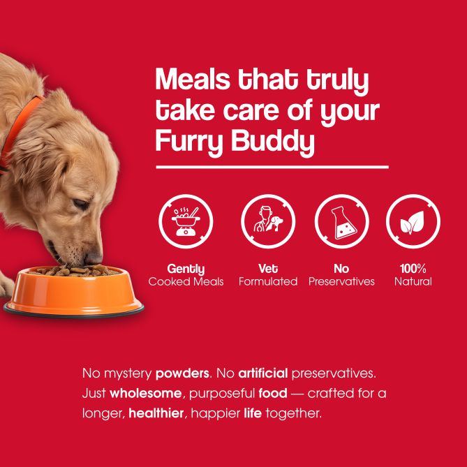 Renal Care+ Kidney Supported Renal Fresh Dog Food