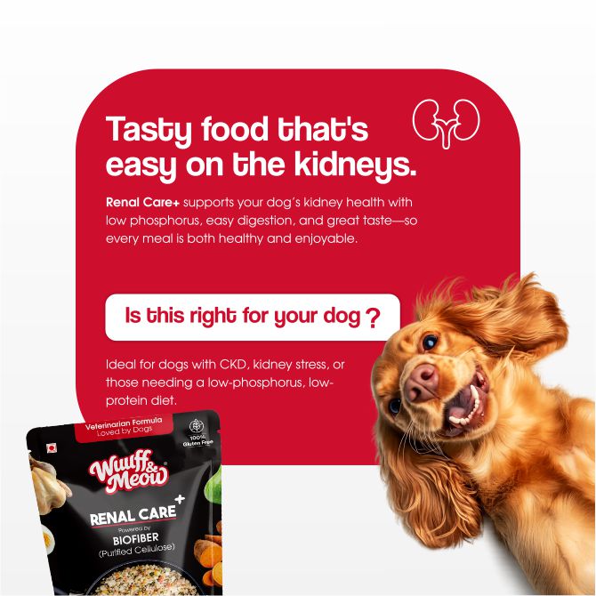 Renal Care+ Kidney Supported Renal Fresh Dog Food