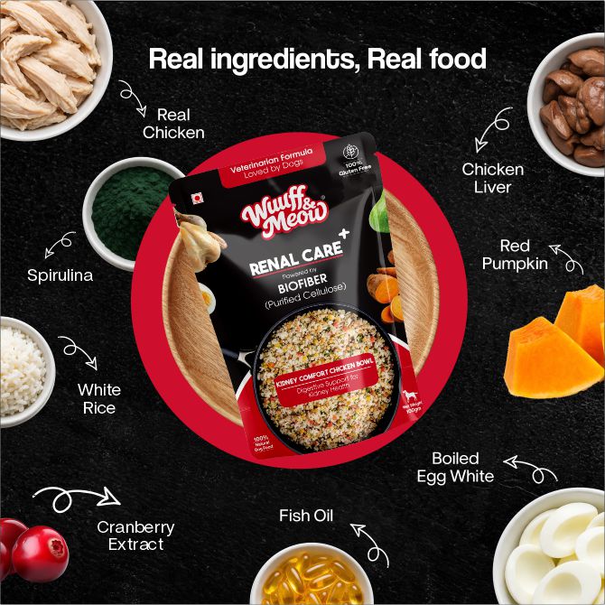 Renal Care+ Kidney Supported Renal Fresh Dog Food