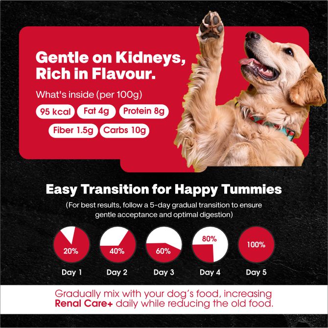 Renal Care+ Kidney Supported Renal Fresh Dog Food