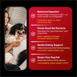 Renal Care+ Kidney Supported Renal Fresh Dog Food