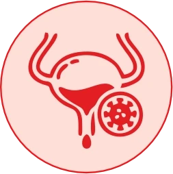 Repairs Bladder GAG Layer & Prevents Secondary UTI